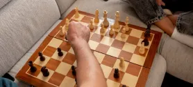Шахматы